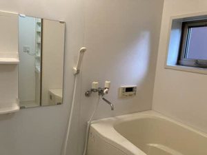 メゾン・ラポール 0108号-5