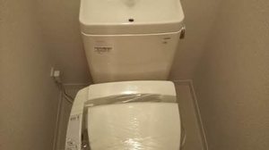 ビーグル・ワン 0105号-10