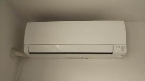 ビーグル・ワン 0205号-10