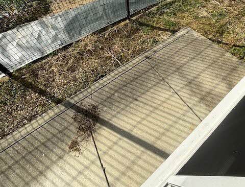 レルム・カミニート C102号-8