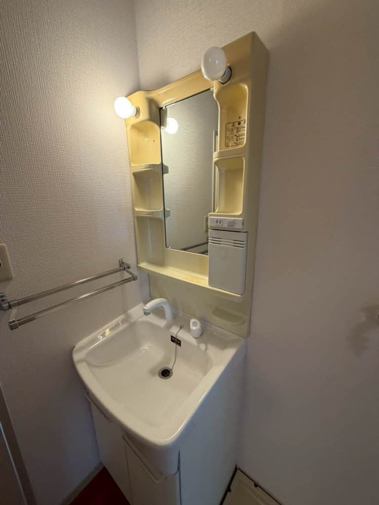 ルミナスコート　トヨク B201号-11