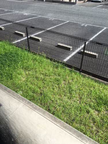 グランブルーＢ B102号-11