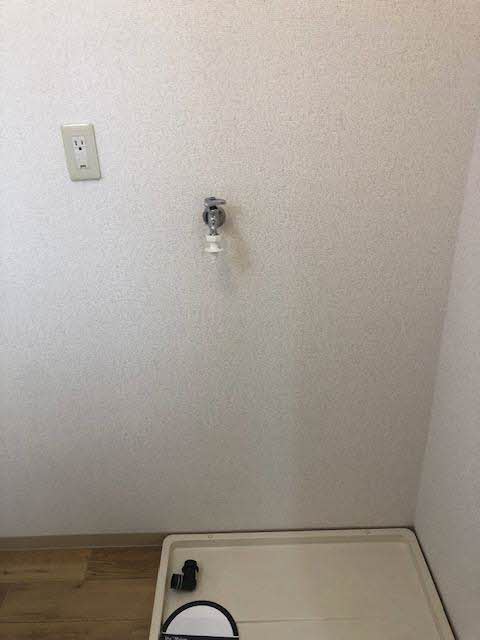 その他画像10