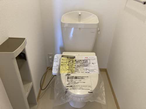 サンクレスト　カキミ 0203号-3