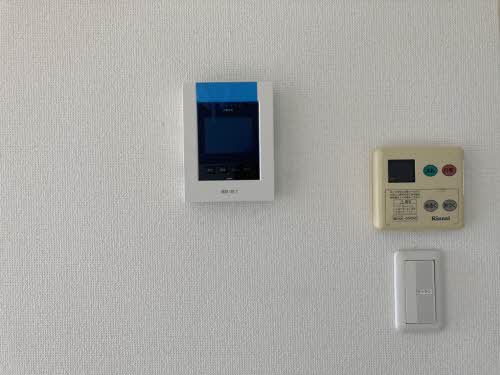 サンクレスト　カキミ 0203号-4