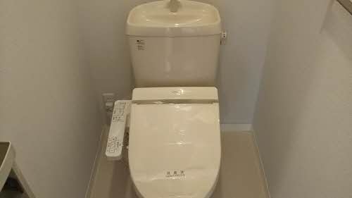 ＳＷＡＮＹ 0207号-5