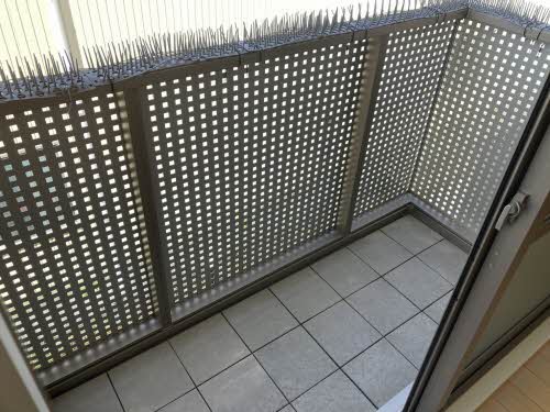 グラツィエ　平方 0201号-9