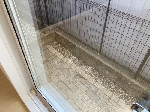 ＭＡＳＴ　ＣＯＵＲＴ　神照 0106号-11