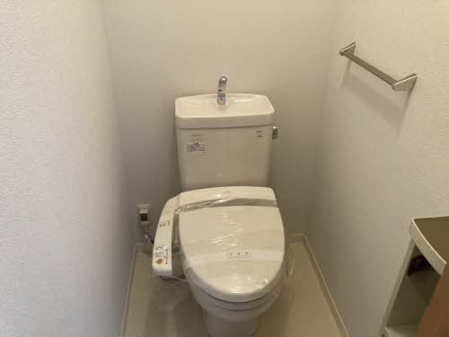 ＭＡＳＴ　ＣＯＵＲＴ　神照 0213号-6