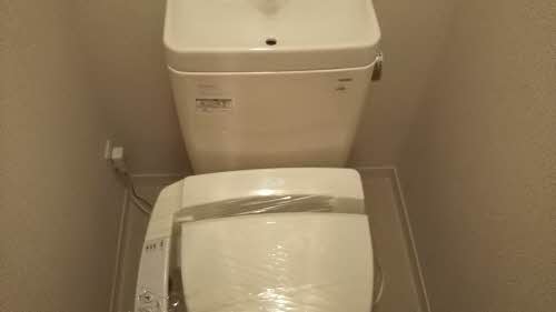 ビーグル・ワン 0105号-10