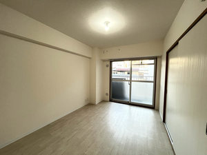 大西ハウスサツマボリ 0202号-4