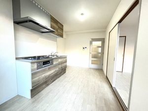 大西ハウスサツマボリ 0202号-7