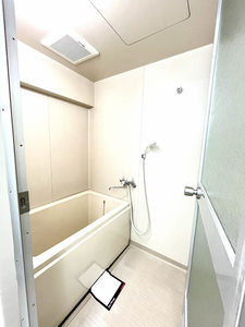 大西ハウスサツマボリ 0202号-13