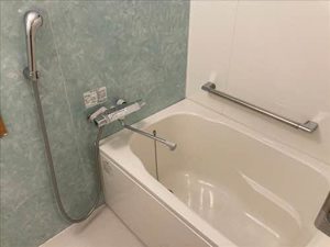 グリーンサイド大西 0206号-3