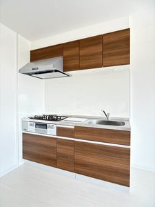 ＯＤＮＩＺ６６ 0610号-3