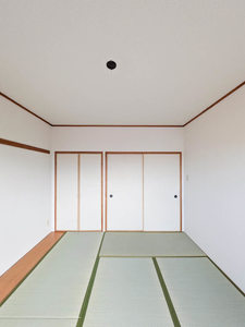 コート・ザ・ルピナス 0407号-10