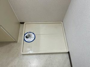 藤楓アビタシオン 0208号-13