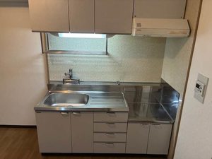 グリーンメゾン弐番館 0205号-9