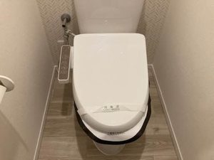 メディオグリシーナＦ 0202号-3