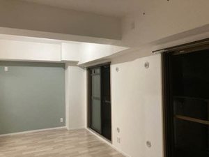 メディオグリシーナＦ 0202号-8