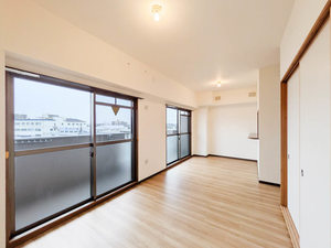 メディオグリシーナＦ 0406号-3