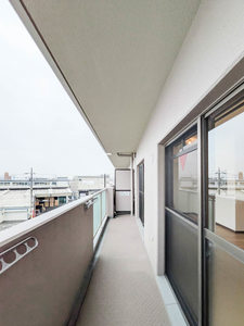 メディオグリシーナＦ 0406号-10