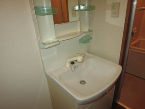 メルヴェイユ野田 0201号-6