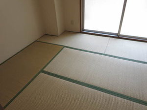 メルヴェイユ野田 0201号-8