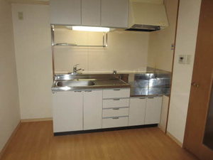 メルヴェイユ野田 0201号-10