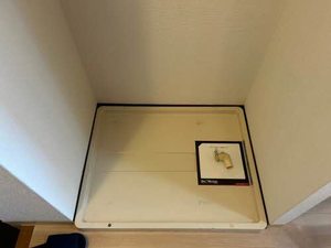 マンション滉樹 0301号-2