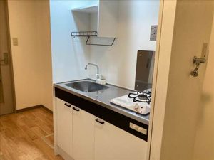 Le plaisir(ル・プレジール) 0502号-3