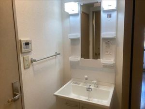 Le plaisir(ル・プレジール) 0502号-4