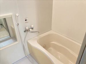 Le plaisir(ル・プレジール) 0502号-5