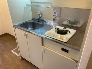 Le plaisir(ル・プレジール) 0502号-8