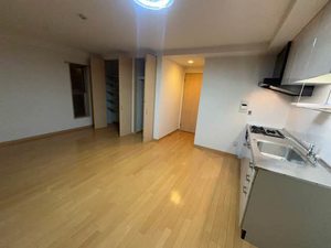 プルミエール・ソレイユ 0402号-2