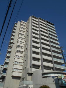 サンベルファム 1103号-3