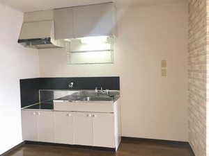 タウニィ紀ノ川 0202号-3