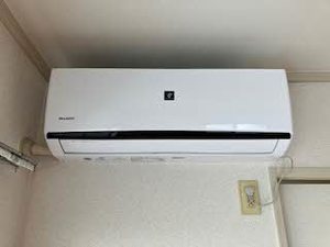 フレグランス畑毛 0206号-7