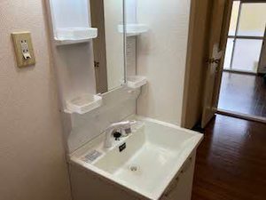 フレグランス畑毛 0206号-11