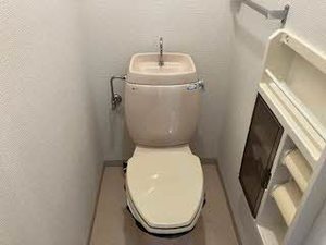 フレグランス畑毛 0206号-12