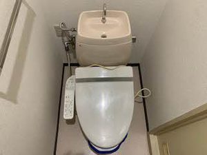 マリポーサ前田 0201号-11