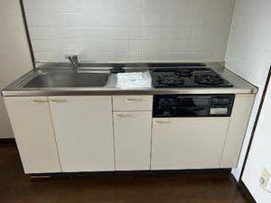 エレナ和歌浦 0202号-3