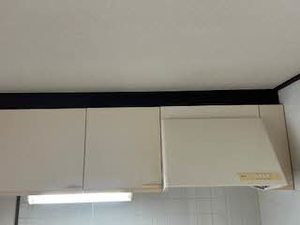 エレナ和歌浦 0202号-12