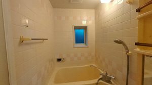 レジデンス保田 0103号-9