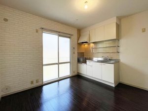 レジデンス保田 0201号-3