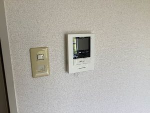 ディアスコスモ 0110号-7