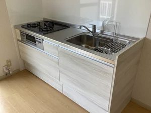 ディアスコスモ 0110号-10
