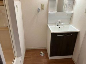 ディアスコスモ 0202号-10