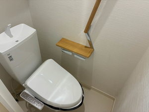 ディアスコスモ 0206号-9