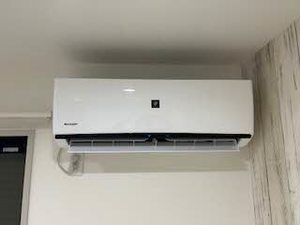 ラ．サルデーヌ 0120号-12